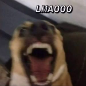 Meet your Posher, Nery